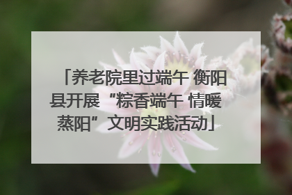 养老院里过端午 衡阳县开展“粽香端午 情暖蒸阳”文明实践活动