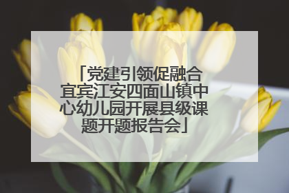 党建引领促融合 宜宾江安四面山镇中心幼儿园开展县级课题开题报告会