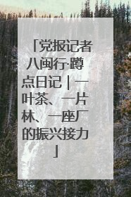 党报记者八闽行·蹲点日记｜一叶茶、一片林、一座厂的振兴接力