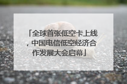 全球首张低空卡上线，中国电信低空经济合作发展大会启幕