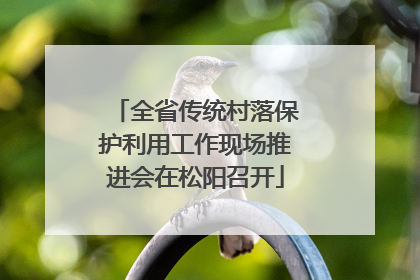 全省传统村落保护利用工作现场推进会在松阳召开