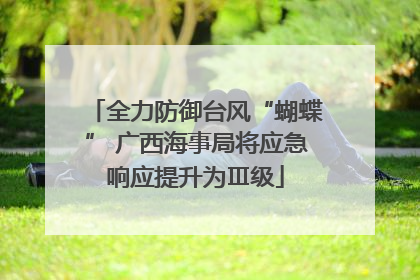 全力防御台风“蝴蝶” 广西海事局将应急响应提升为Ⅲ级
