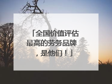 全国价值评估最高的劳务品牌，是他们！