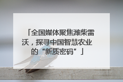 全国媒体聚焦潍柴雷沃，探寻中国智慧农业的“新质密码”