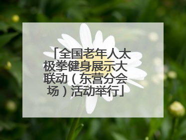 全国老年人太极拳健身展示大联动（东营分会场）活动举行