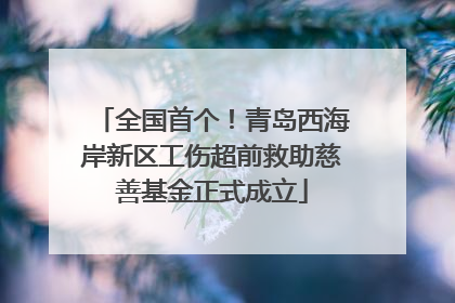 全国首个！青岛西海岸新区工伤超前救助慈善基金正式成立