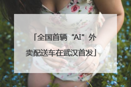 全国首辆“AI”外卖配送车在武汉首发