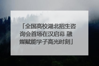 全国高校湖北招生咨询会首场在汉启幕 融媒赋能学子高光时刻