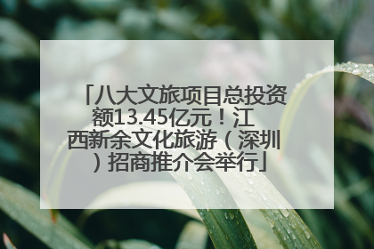 八大文旅项目总投资额13.45亿元！江西新余文化旅游（深圳）招商推介会举行