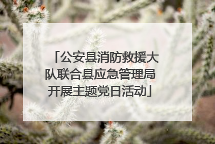 公安县消防救援大队联合县应急管理局开展主题党日活动