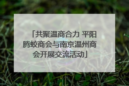 共聚温商合力 平阳腾蛟商会与南京温州商会开展交流活动