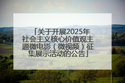 关于开展2025年社会主义核心价值观主题微电影（微视频）征集展示活动的公告