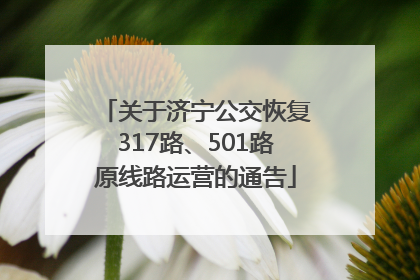 关于济宁公交恢复317路、501路原线路运营的通告