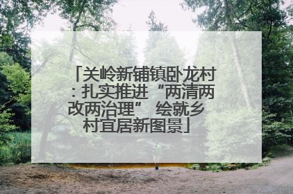 关岭新铺镇卧龙村：扎实推进“两清两改两治理” 绘就乡村宜居新图景