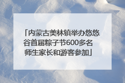 内蒙古美林镇举办悠悠谷首届粽子节600多名师生家长和游客参加