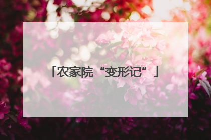 农家院“变形记”
