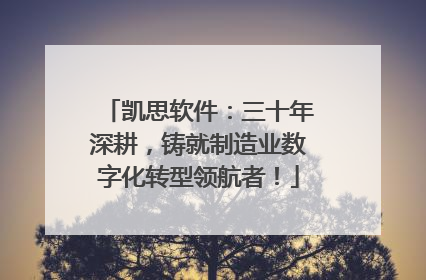 凯思软件：三十年深耕，铸就制造业数字化转型领航者！