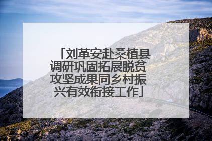刘革安赴桑植县调研巩固拓展脱贫攻坚成果同乡村振兴有效衔接工作