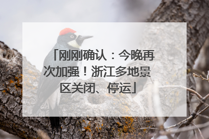 刚刚确认：今晚再次加强！浙江多地景区关闭、停运