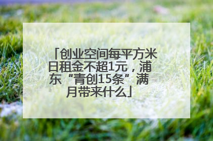 创业空间每平方米日租金不超1元，浦东“青创15条”满月带来什么