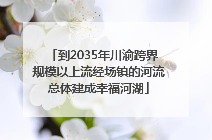 到2035年川渝跨界规模以上流经场镇的河流总体建成幸福河湖