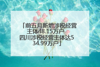 前五月新增涉税经营主体48.15万户 四川涉税经营主体达534.99万户
