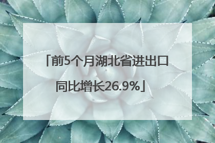 前5个月湖北省进出口同比增长26.9%