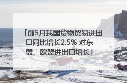 前5月我国货物贸易进出口同比增长2.5% 对东盟、欧盟进出口增长