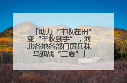 助力“丰收在田”变“丰收到手”，河北各地各部门厉兵秣马迎战“三夏”