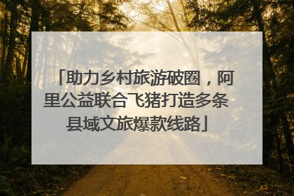 助力乡村旅游破圈，阿里公益联合飞猪打造多条县域文旅爆款线路