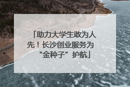 助力大学生敢为人先！长沙创业服务为“金种子”护航