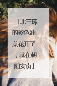 北三环的彩色油菜花开了，就在朝阳安贞