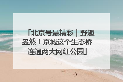 北京号最精彩｜野趣盎然！京城这个生态桥连通两大网红公园