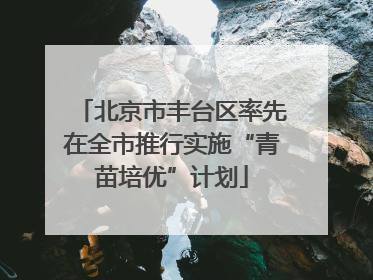 北京市丰台区率先在全市推行实施“青苗培优”计划
