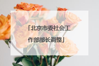 北京市委社会工作部部长调整