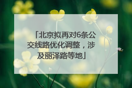 北京拟再对6条公交线路优化调整，涉及丽泽路等地
