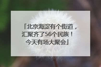 北京海淀有个街道，汇聚齐了56个民族！今天有场大聚会