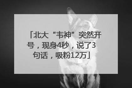 北大“韦神”突然开号，现身4秒，说了3句话，吸粉12万