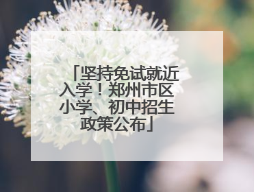 坚持免试就近入学！郑州市区小学、初中招生政策公布
