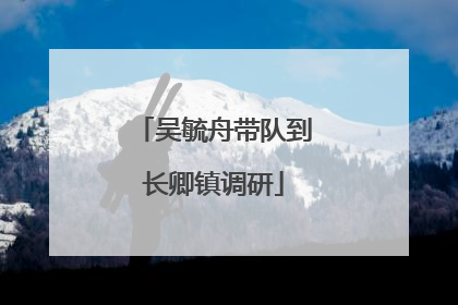 吴毓舟带队到长卿镇调研