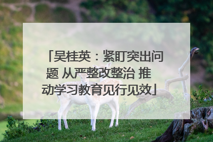 吴桂英：紧盯突出问题 从严整改整治 推动学习教育见行见效