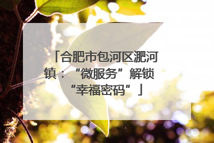 合肥市包河区淝河镇：“微服务”解锁“幸福密码”
