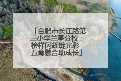 合肥市长江路第三小学兰亭分校：榜样闪耀绽光彩 五育融合助成长