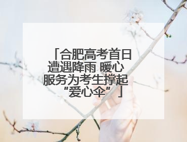 合肥高考首日遭遇降雨 暖心服务为考生撑起“爱心伞”