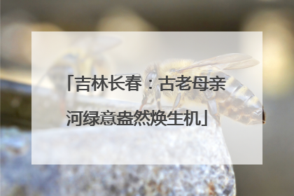 吉林长春：古老母亲河绿意盎然焕生机