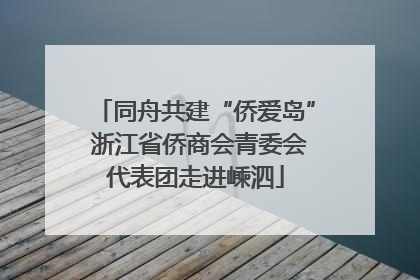 同舟共建“侨爱岛” 浙江省侨商会青委会代表团走进嵊泗