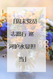 周末党员志愿行 巡河护水显担当