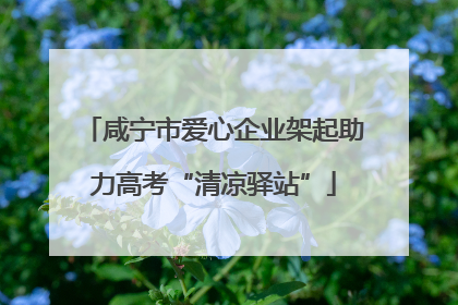 咸宁市爱心企业架起助力高考“清凉驿站”