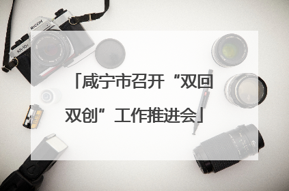 咸宁市召开“双回双创”工作推进会