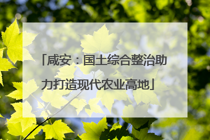 咸安：国土综合整治助力打造现代农业高地